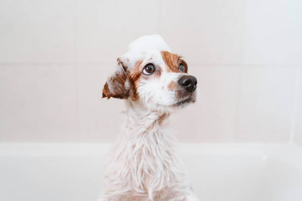 bath time